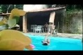 Bild från Lingång över pool