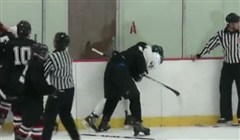Bild från Hockey Fight Avbruten