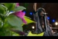 Bild från Loreen - Euphoria Special Drum remix LIVE 10th of July 2012 [HD]