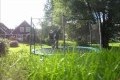 Bild från Living Young, Wild And Free - Sw3zer