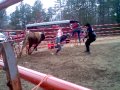 Bild från Two Bulls + Bull Rider = Rodeo Clown Fail