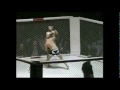 Bild från Brutal MMA knockout
