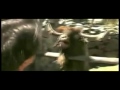 Bild från Goat ft. Drowning Pool - Bodies