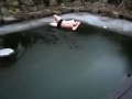Bild från Hoppar i Pool som fryst till is fail