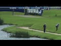 Bild från Alligator med tre ben avbryter golf