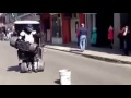 Bild från Grym dräkt - Transformers