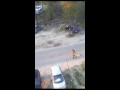 Bild från Bilkrossare
