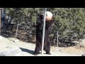 Bild från Tetherball Bear