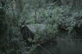 Bild från Redneck Olympic Boat Jump