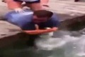 Bild från Action Reaction - Fighting fish