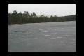 Bild från Loch Ness monster from Russia