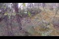 Bild från Grizzly bear vs cyclist