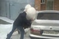 Bild från Bear against car