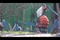 Bild från Dual workout mommy