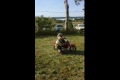 Bild från Little boy on a motorcycle stunt shows