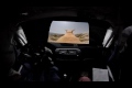 Bild från Dog rally crash