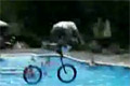 Bild från Cykelhopp ner i pool