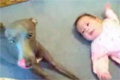 Bild från Gråtande baby vs hund